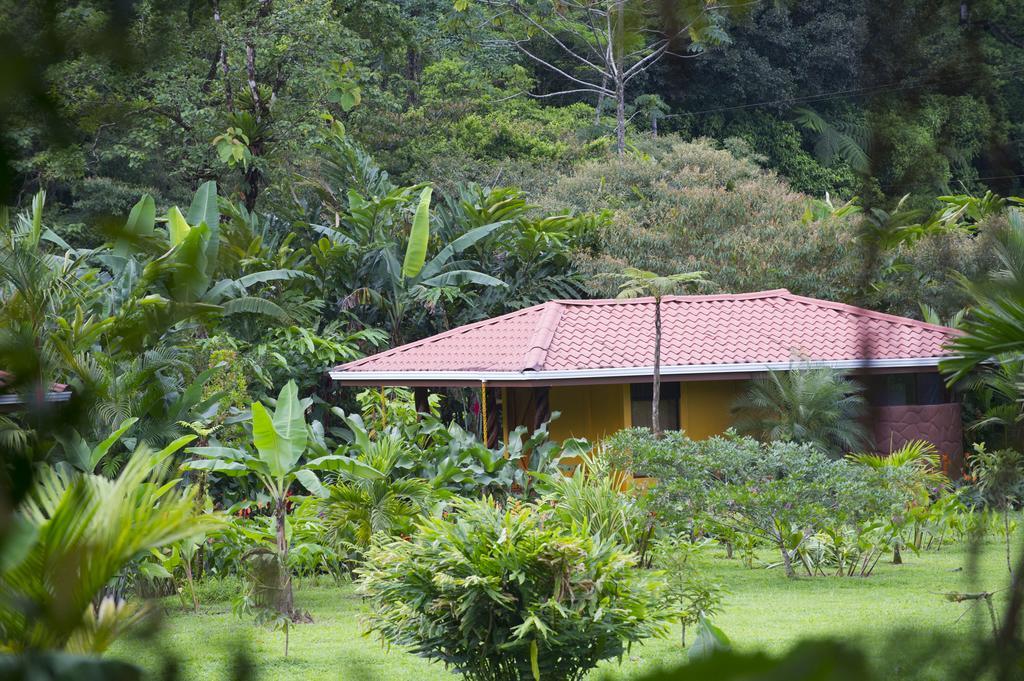 Hotel Catarata Rio Celeste Bijagua Exterior photo