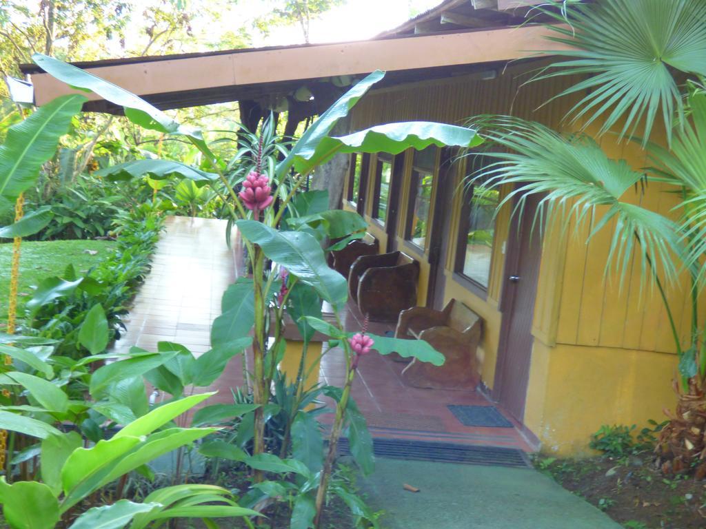 Hotel Catarata Rio Celeste Bijagua Exterior photo