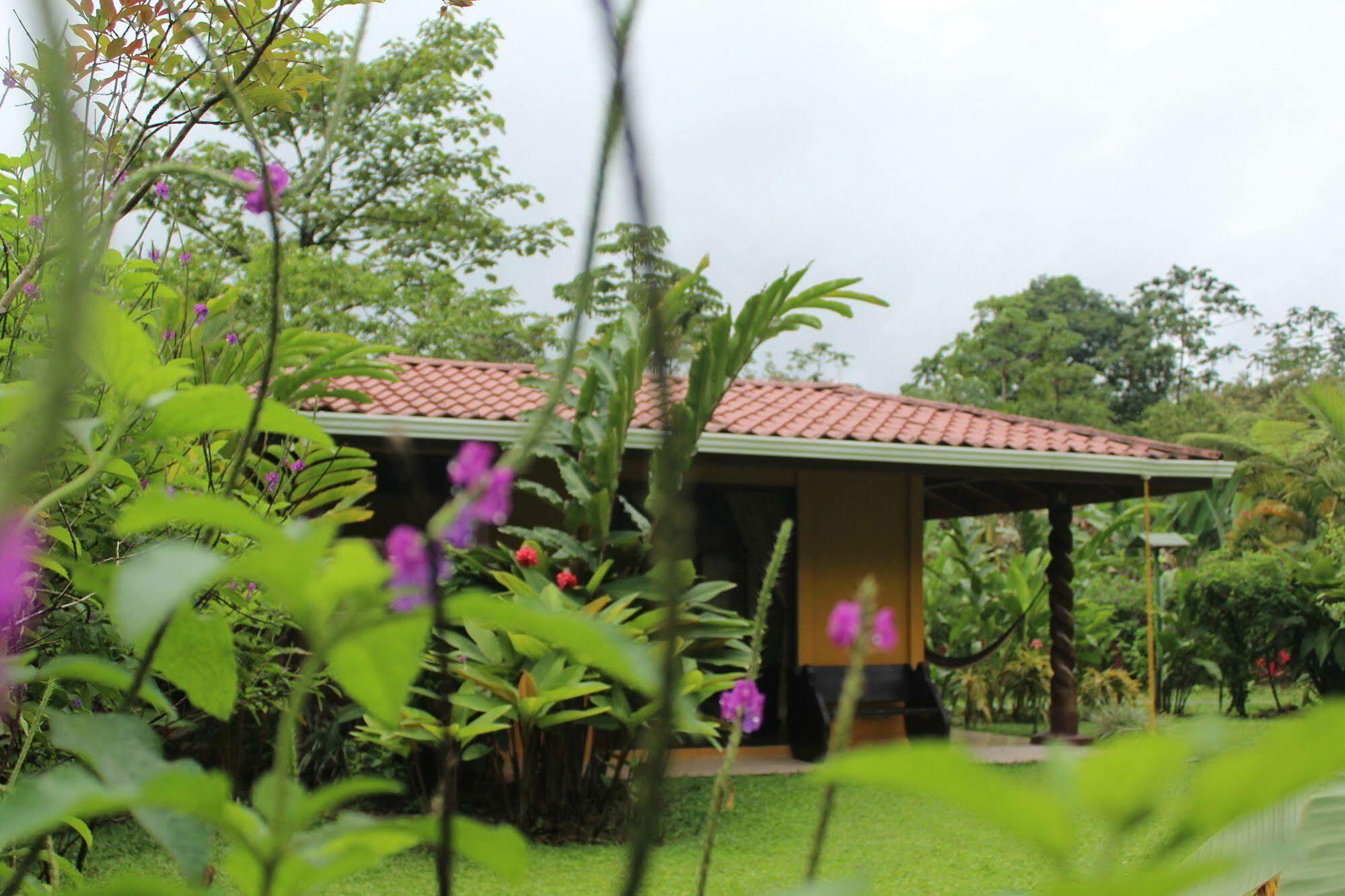 Hotel Catarata Rio Celeste Bijagua Exterior photo