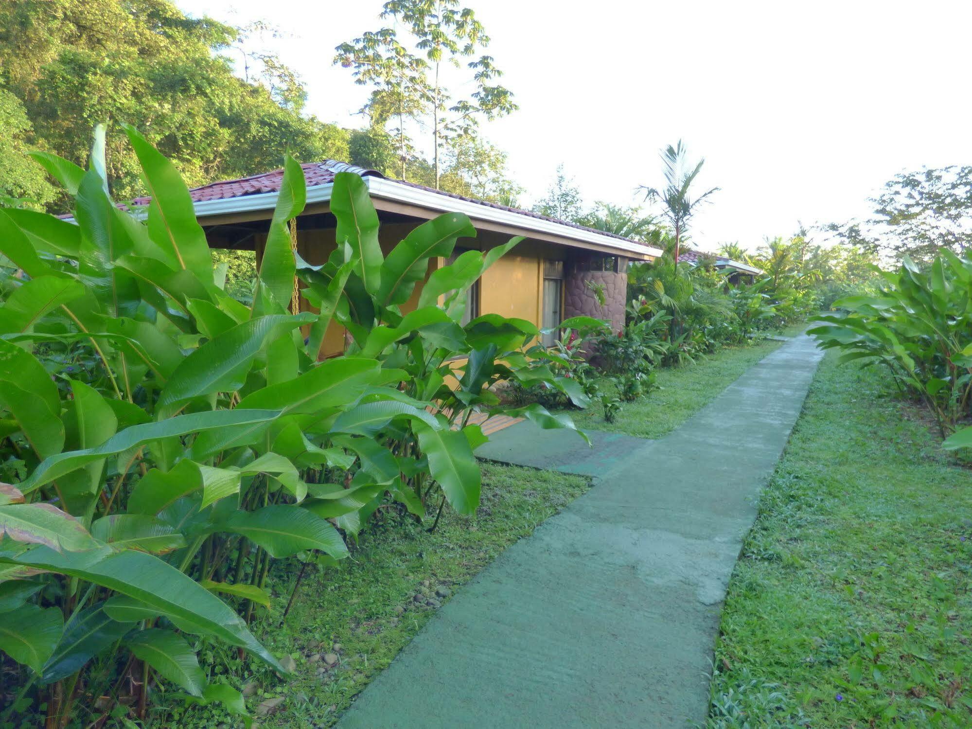 Hotel Catarata Rio Celeste Bijagua Exterior photo