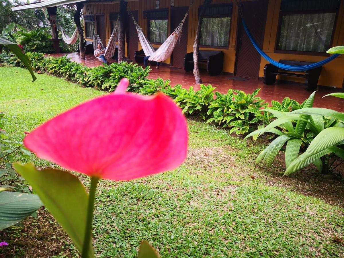 Hotel Catarata Rio Celeste Bijagua Exterior photo