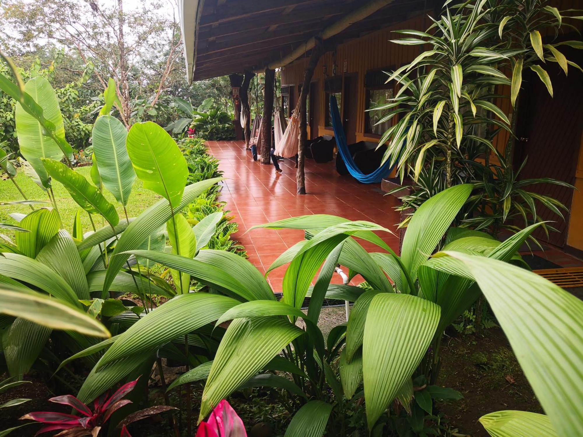 Hotel Catarata Rio Celeste Bijagua Exterior photo